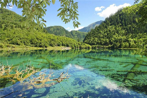 中國(guó)最美的十大自然保護(hù)區(qū)