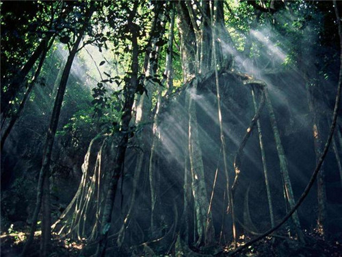 中國(guó)最美的十大自然保護(hù)區(qū)