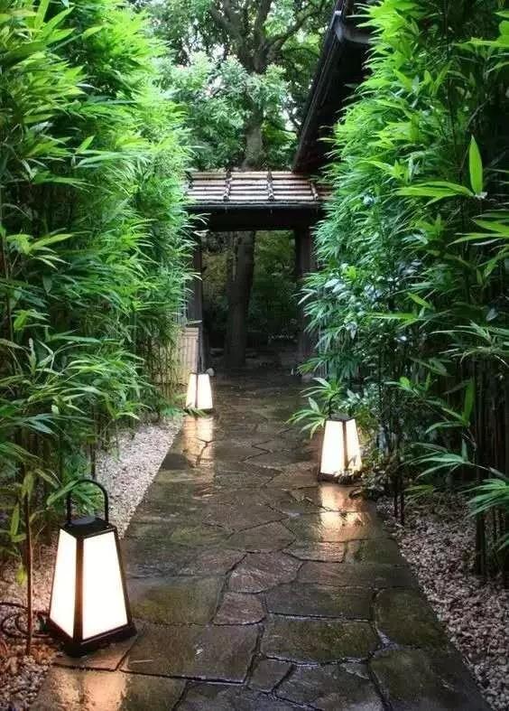 一起走進(jìn)庭院綠籬的世界
