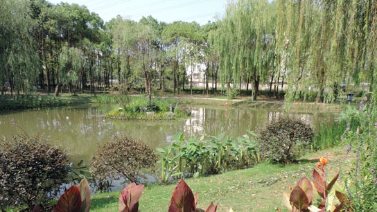 雨水花園在海綿城市建設(shè)中的意義