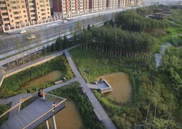 雨水花園在海綿城市建設中的意義