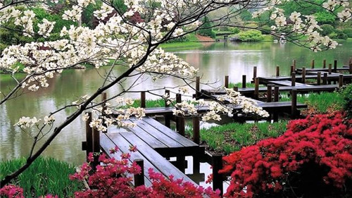 日本園林，小小庭院，源于自然，匠心獨(dú)運(yùn)