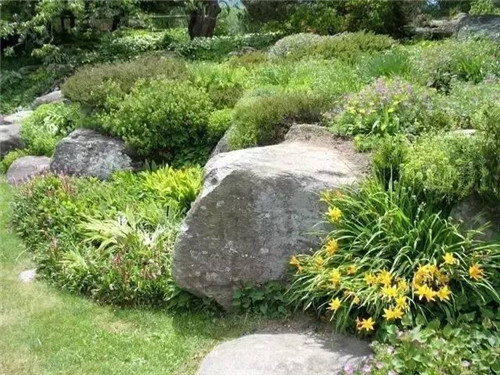 景觀設計：石頭縫里的景觀