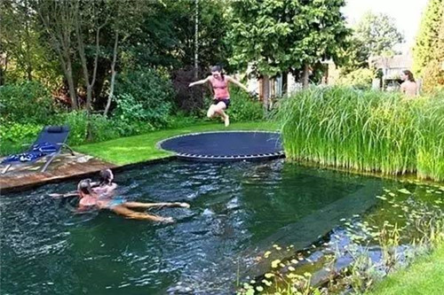 Natural swimming pool　打造夏日生態(tài)泳池