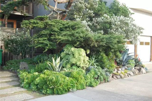 精美絕倫的多肉植物園林景觀美不勝收！