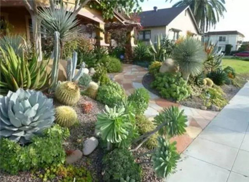 精美絕倫的多肉植物園林景觀美不勝收！
