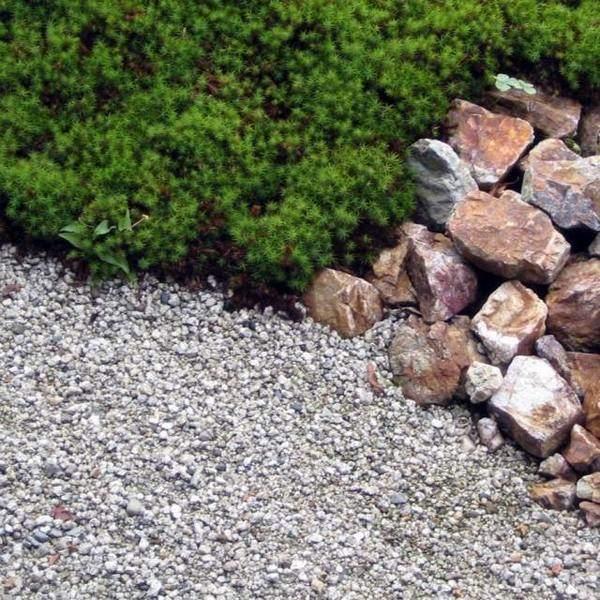 庭院巖石園設(shè)計(jì)案例