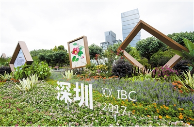 “最干凈”深圳迎接國(guó)際植物學(xué)大會(huì)