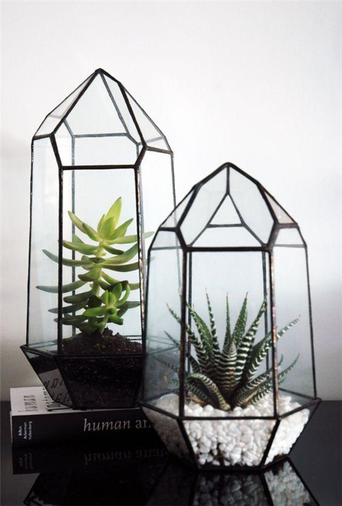 植物美學(xué)中的微景觀玻璃花房
