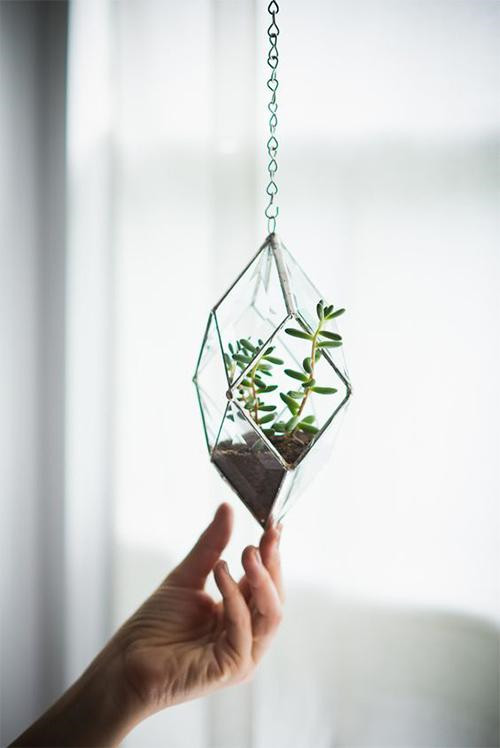 植物美學(xué)中的微景觀玻璃花房
