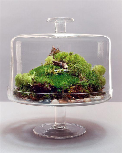 植物美學(xué)中的微景觀玻璃花房