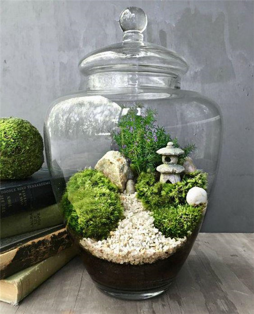 植物美學(xué)中的微景觀玻璃花房