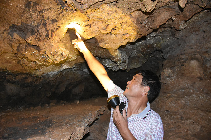 廣東陽(yáng)春崆峒巖景區(qū)發(fā)現(xiàn)疑似動(dòng)植物化石