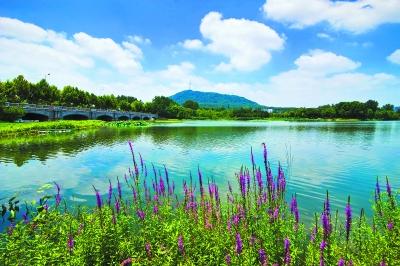 合肥高新區(qū)：蜀峰灣等公園增設(shè)景觀燈飾