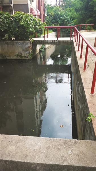 奇怪，南京小區(qū)景觀河一夜間又黑又臭