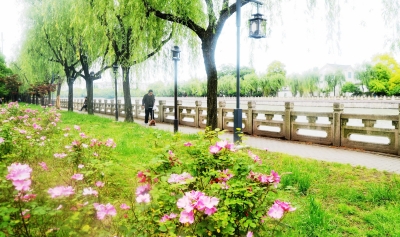 揚(yáng)州規(guī)劃歷史城市大公園體系 推新設(shè)計(jì)概念