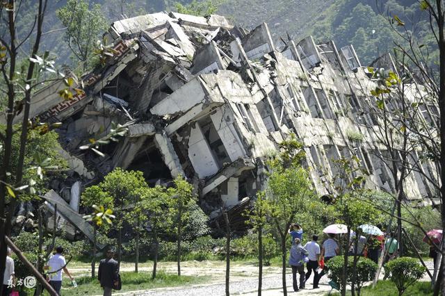 如果植物出現(xiàn)批量地反常，可能地震要來了