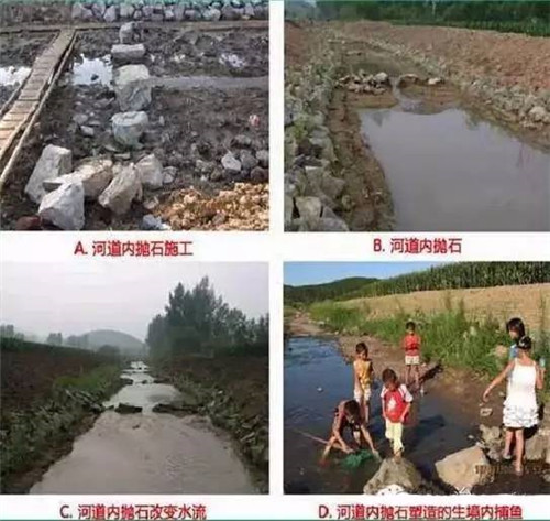 河道生態(tài)棲息地的修復(fù)設(shè)計與施工
