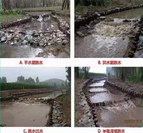 河道生態(tài)棲息地的修復(fù)設(shè)計與施工