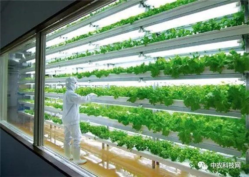 國外創意農業的4種成功類型