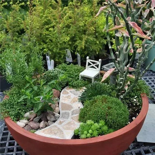 迷你微縮版花園，心都給萌化了