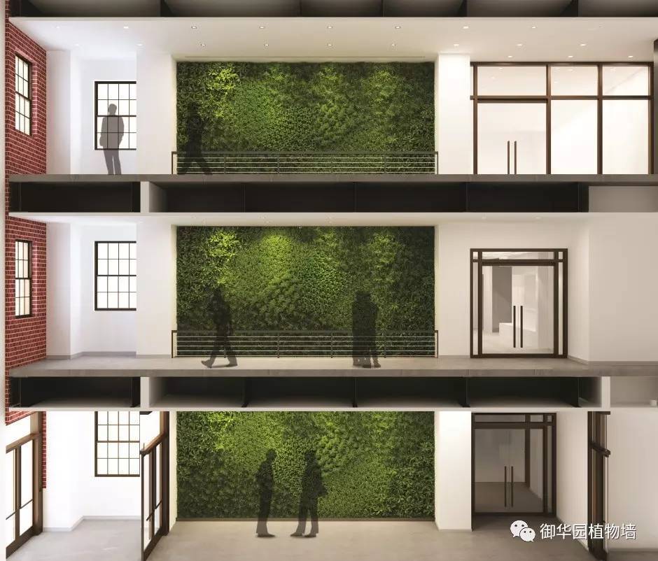 為什么植物墻效果圖不好出？