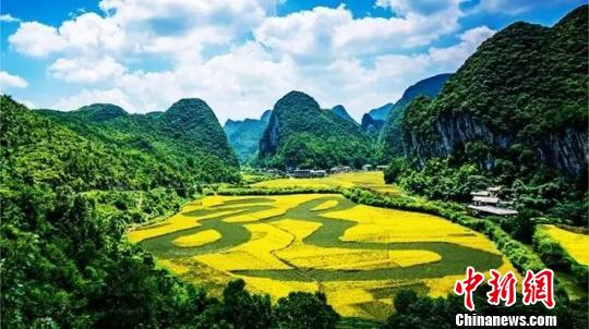 世界最大植物漢字景觀“龍字田”獲權(quán)威認(rèn)證