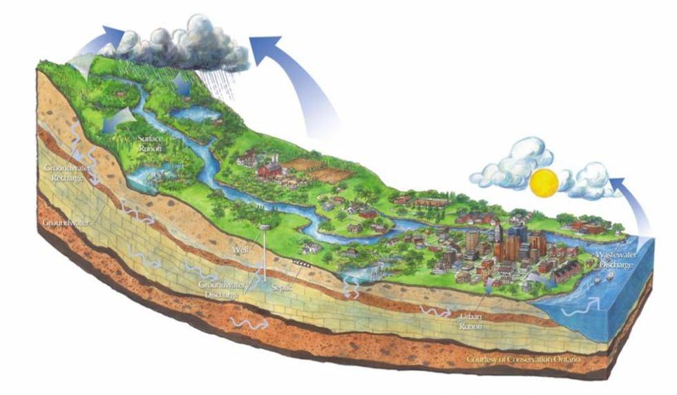 陳克林：爭(zhēng)創(chuàng)天藍(lán)、地綠、水凈國(guó)際濕地城市