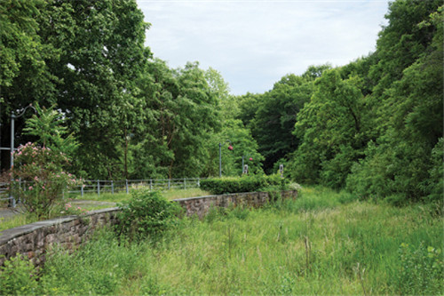 工業遺址改造：美國帕特森大瀑布森林公園
