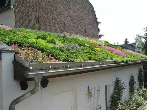 綠植代替瓦片，覆土建筑讓景觀天人合一！