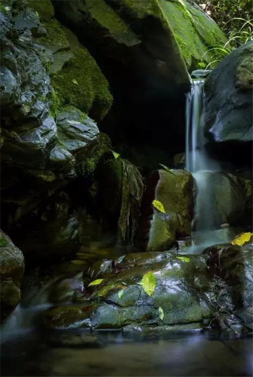 上運(yùn)石森林公園：秦嶺深處一方美麗的秘境