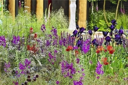 歐洲的花園為何被稱為庭院設計中的典范？