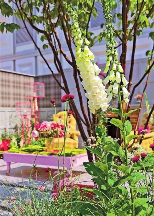 歐洲的花園為何被稱為庭院設計中的典范？