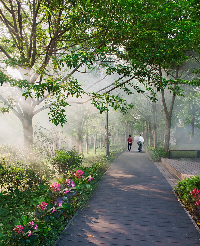 園冶杯專業獎：莫干山路綜合整治工程
