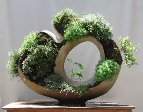超有創(chuàng)意，是雕塑還是花盆？