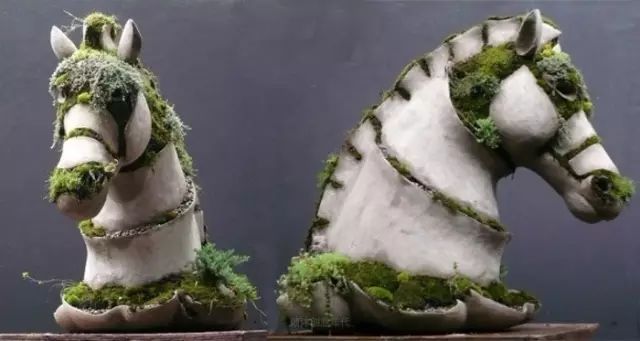 超有創(chuàng)意，是雕塑還是花盆？