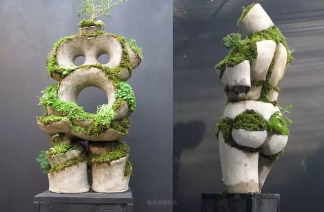 超有創(chuàng)意，是雕塑還是花盆？