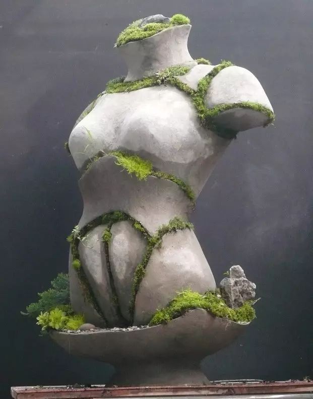 超有創(chuàng)意，是雕塑還是花盆？