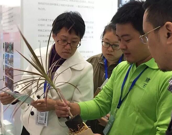 建王集團(tuán)亮相中國(guó)住博會(huì)、中國(guó)城博會(huì)雙展！