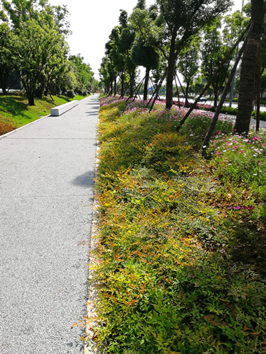園冶杯專業獎：梅溪湖路西延線道路景觀設計