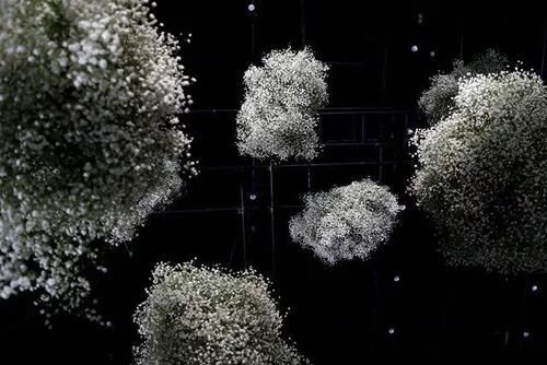 時(shí)尚、藝術(shù)、花卉 一場盛開的對話