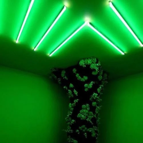 時(shí)尚、藝術(shù)、花卉 一場盛開的對話