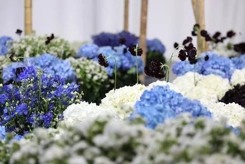時(shí)尚、藝術(shù)、花卉 一場盛開的對話