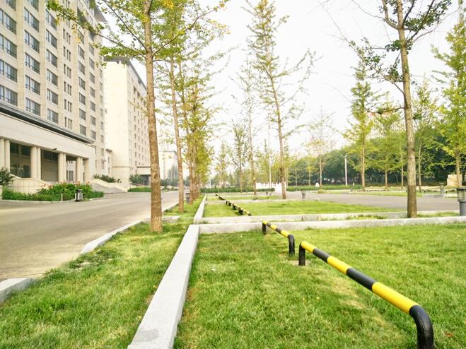 遷安市市政廣場西側公建區雨水改造工程