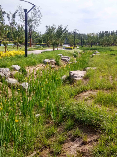 園冶杯專業(yè)獎：固安迎賓大道街角北、南公園