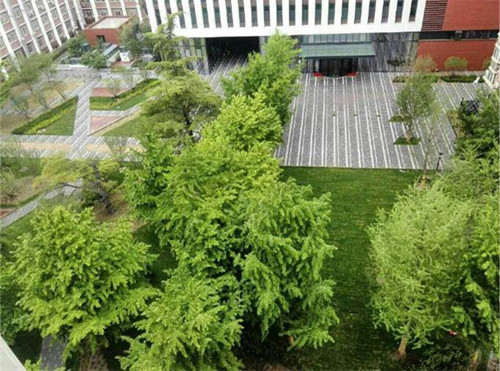 園冶杯專業獎：中航科研綜合樓項目景觀工程