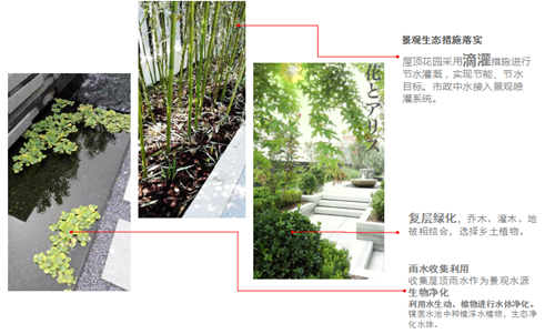 園冶杯專業獎：中航科研綜合樓項目景觀工程