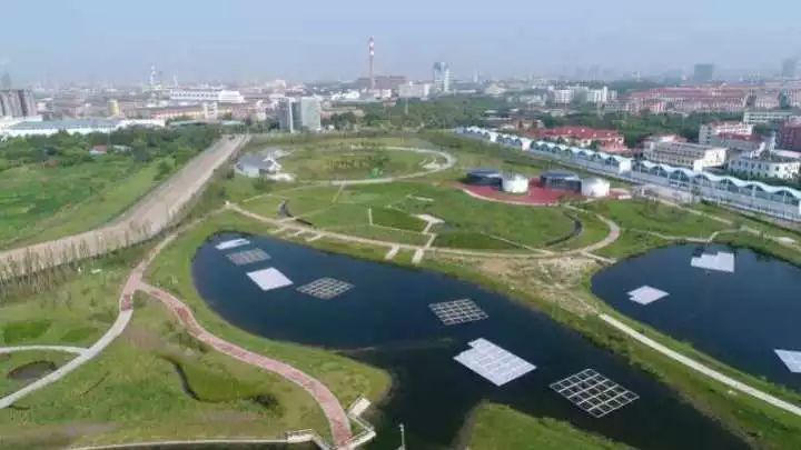 魔都這個23萬平濕地公園，本周末起免費開放
