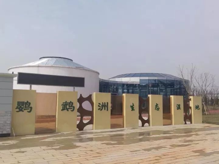 魔都這個23萬平濕地公園，本周末起免費開放