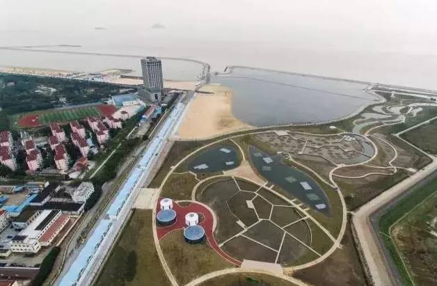 魔都這個23萬平濕地公園，本周末起免費開放